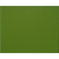 Zeleni pigment 6269 100 g