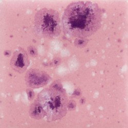 Dan neodvisnosti glazura CR 925 118 ml