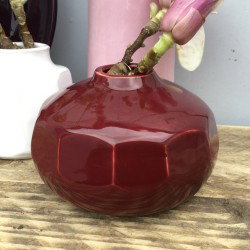 Prodnata glazura 9558 200 ml
