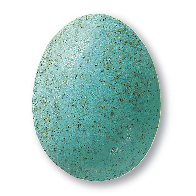 Turkizna posip glazura TerraColor 345, 1 kg
