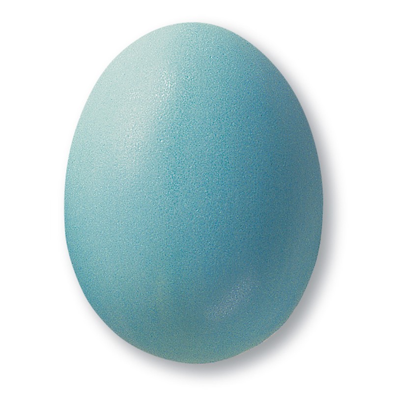 Turkizna mat glazura TerraColor 304, 1 kg
