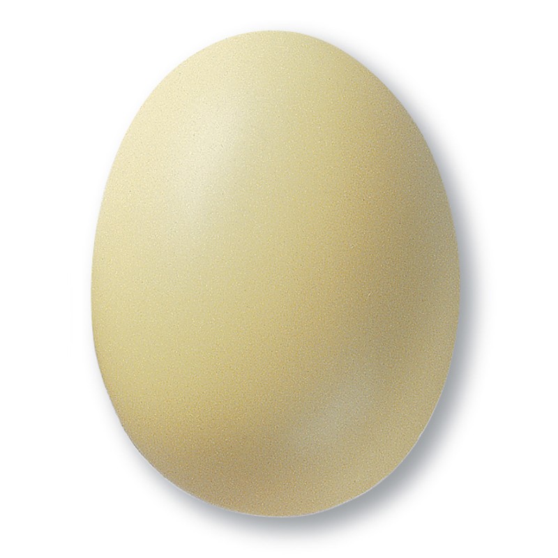 Vanilija mat glazura TerraColor 305, 1 kg