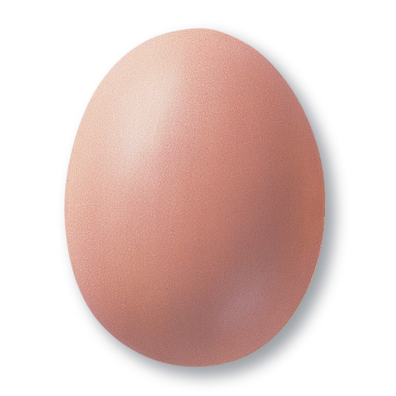 Altroza mat glazura TerraColor 310, 1 kg