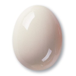 Transparentna glazura TerraColor 252, 1 kg