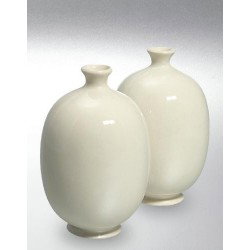 Transparentna glazura za porcelan 6600 1 kg