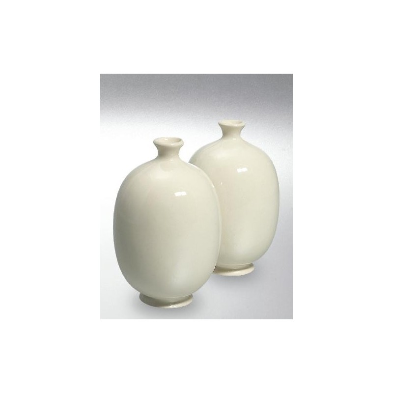 Transparentna glazura za porcelan 6600 1 kg